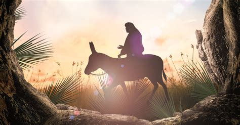 Jesus rode a donkey on Palm Sunday to fulfill an ancient prophecy and. . Jesus and the donkey sermon